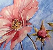 aquarel schilderen bloemen